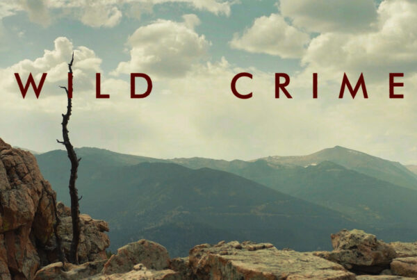 Wild Crime Title Credit